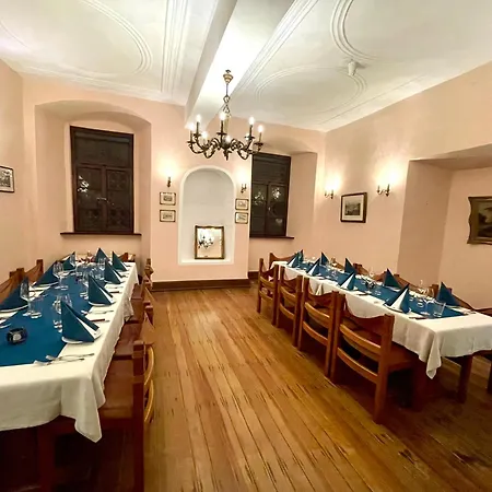 泽尔城堡酒店 3* 摩泽尔河畔的泽尔